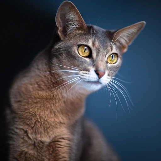 Hd-182409-ascw182409