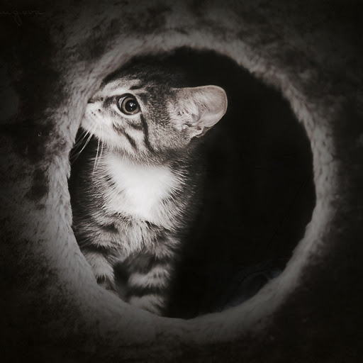 Hd-162369-ascw162369