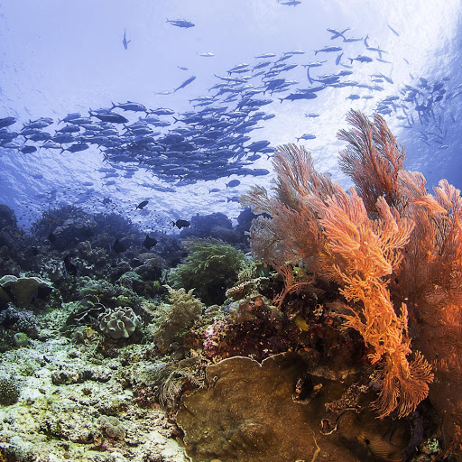 Hd-166807-ascw166807