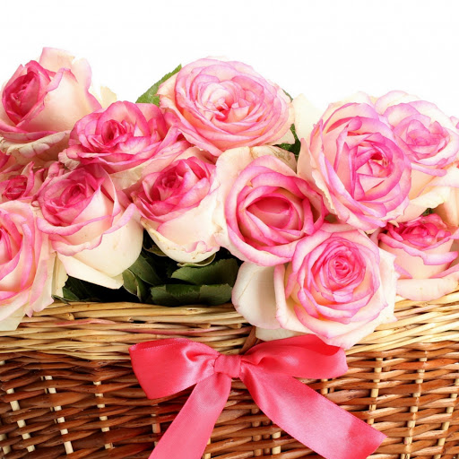 Hd-162253-ascw162253