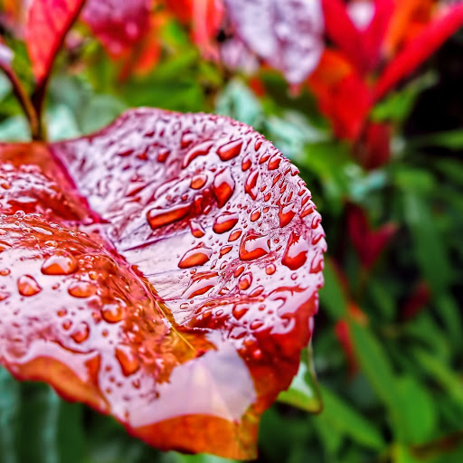 Hd-173639-ascw173639