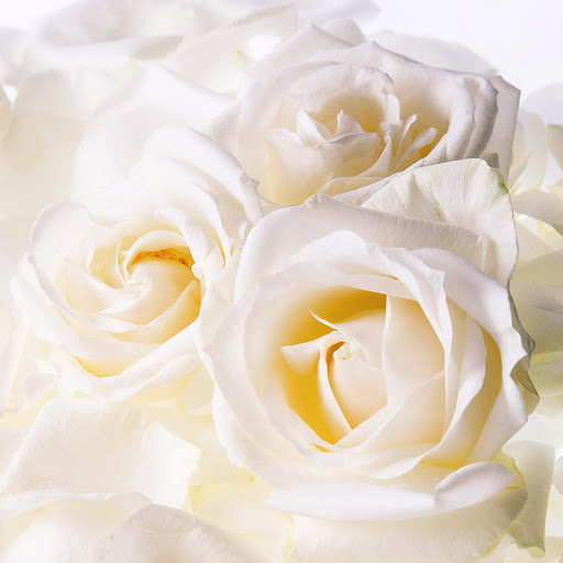 Hd-170707-ascw170707