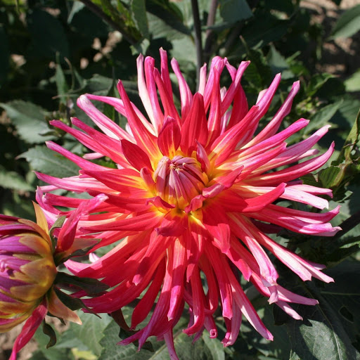 Hd-171842-ascw171842