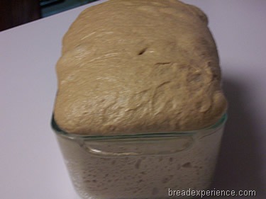 [sprouted-wheat-bread%2520030%255B2%255D.jpg]