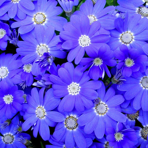 Hd-147674-ascw147674