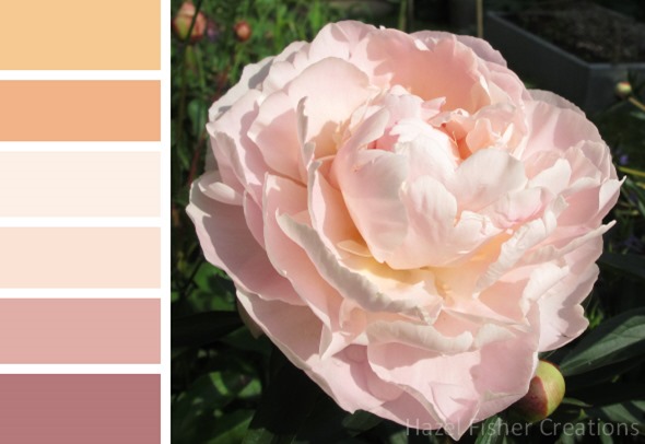 019 colour palette pink peony