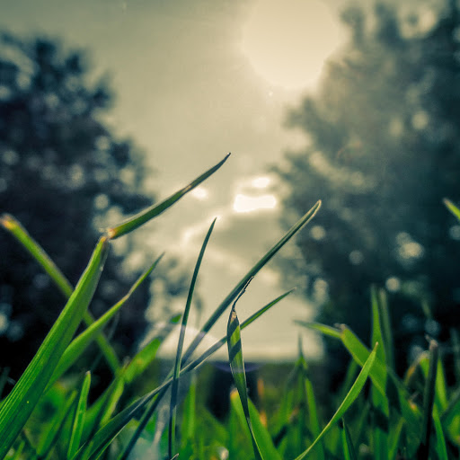 Hd-158428-ascw158428