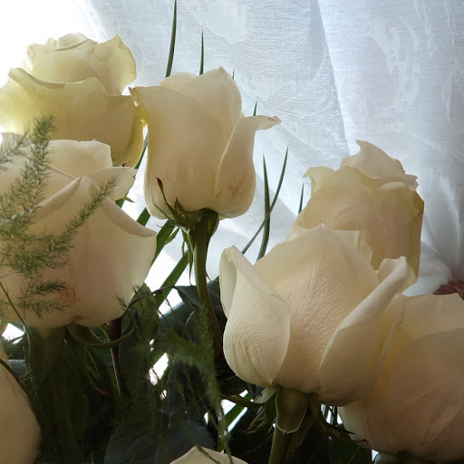 Hd-141198-ascw141198