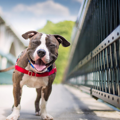 Hd-168932-ascw168932