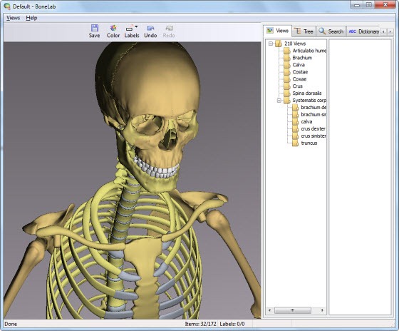 3d human anatomy and physiology software free download