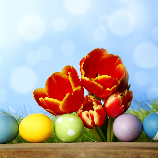 Hd-132687-ascw132687