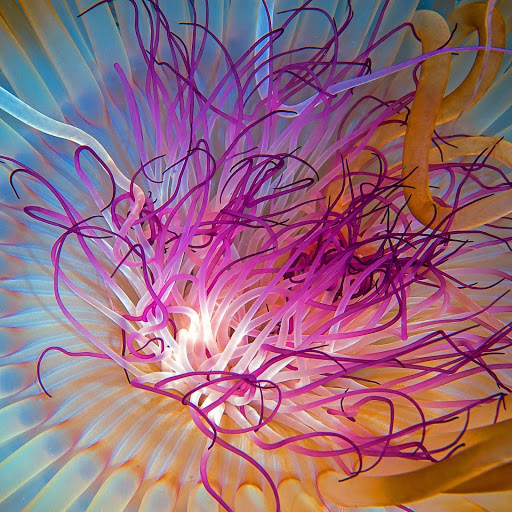 Hd-172828-ascw172828