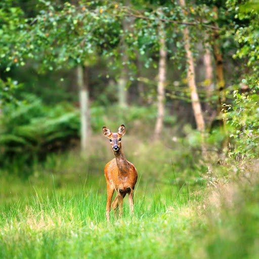 Hd-148329-ascw148329