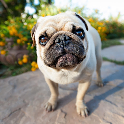 Hd-175447-ascw175447