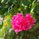 mobile01-5322cad0bed663bb3ad2670b33911ac6.jpg