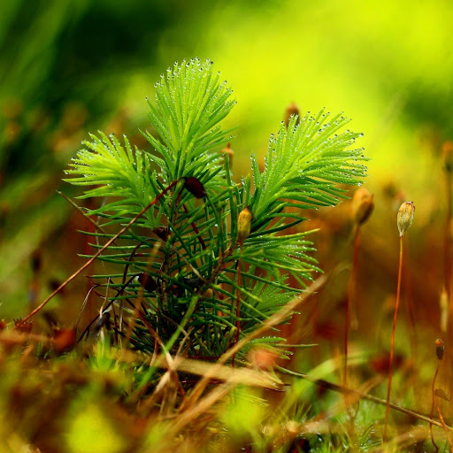 Hd-164540-ascw164540