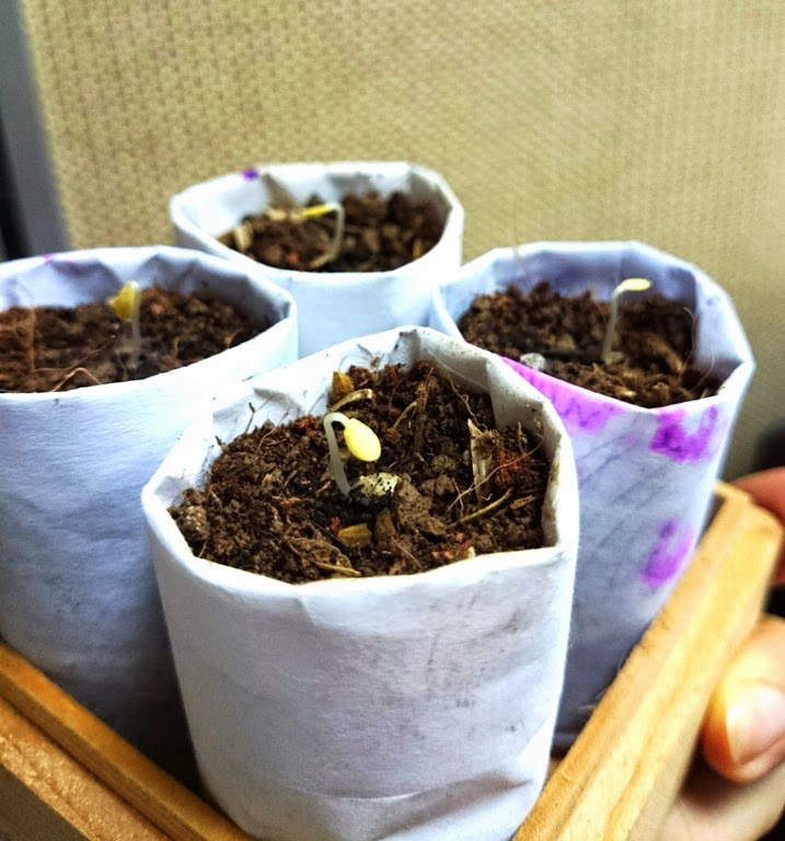 [IMG_20150115_0822353.jpg]