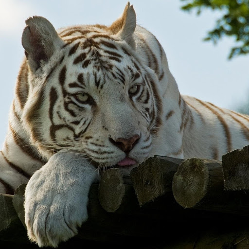 Hd-142850-ascw142850