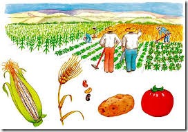 proyecto tierra (26) proyecto tierra (26)