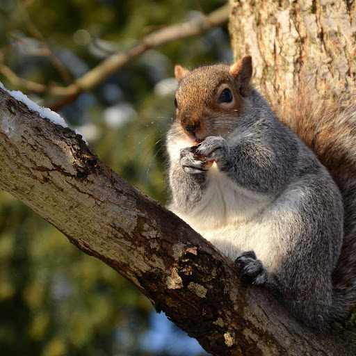 Hd-178589-ascw178589