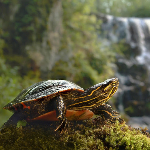 Hd-138923-ascw138923