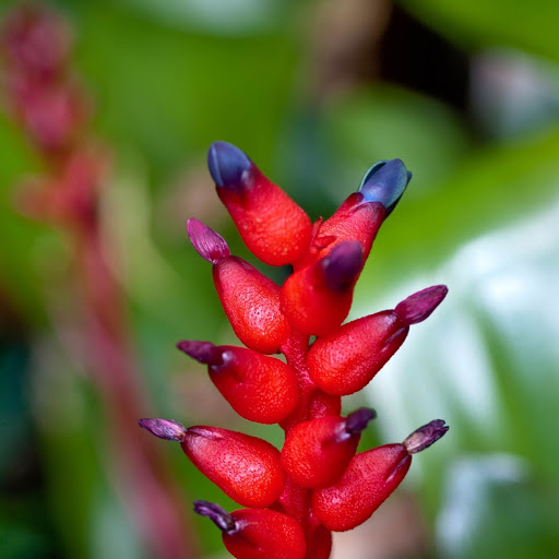 Hd-142397-ascw142397