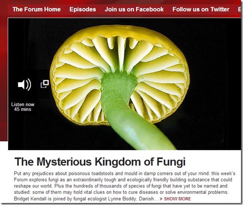 bbc mushroom
