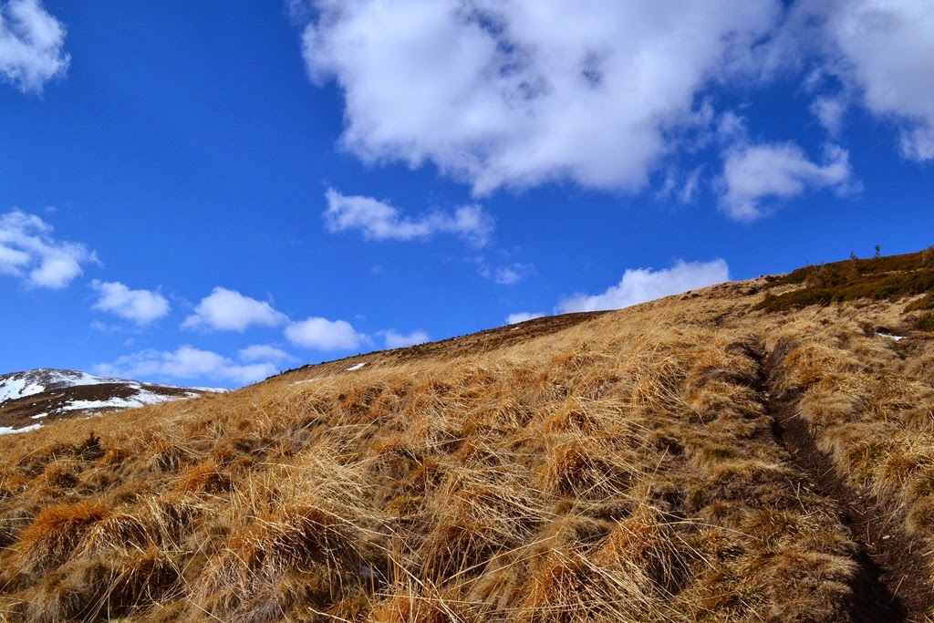 [DSC_50903.jpg]