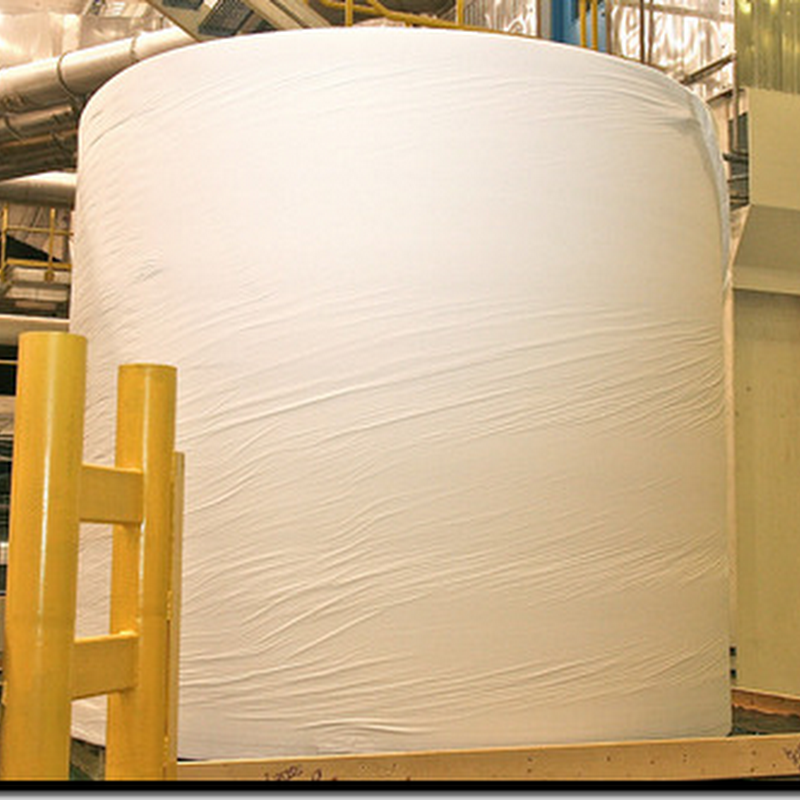 El rollo de papel higiénico más grande del mundo