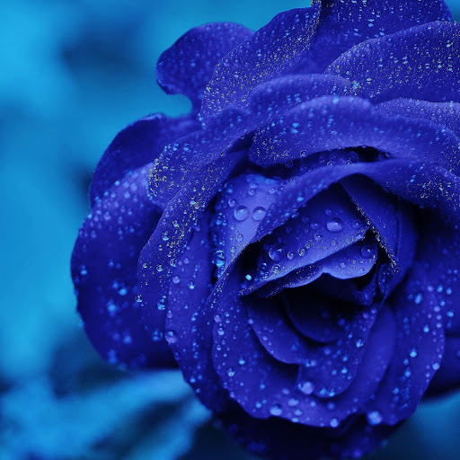 Hd-165428-ascw165428