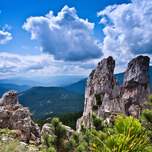 Hd-151135-ascw151135