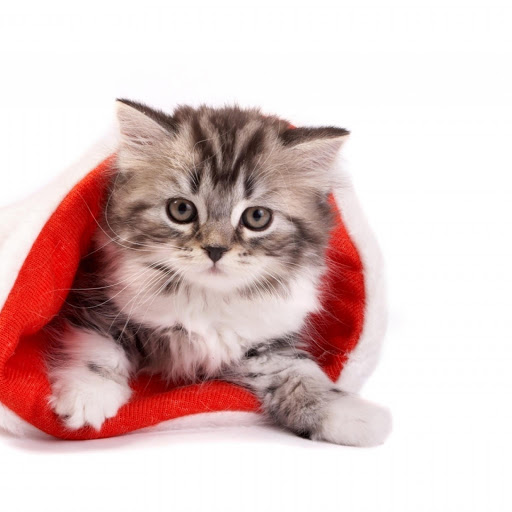 Hd-176802-ascw176802