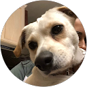 Sunny Bunny profile picture