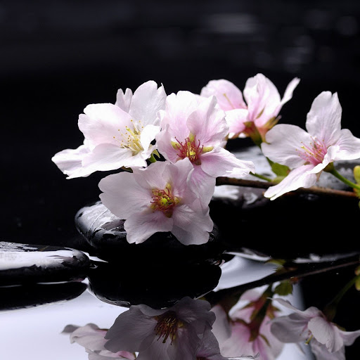 Hd-151569-ascw151569