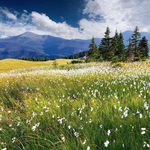 Hd-155664-ascw155664