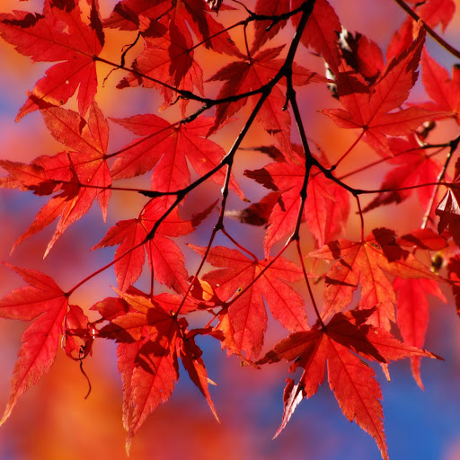 Hd-174063-ascw174063