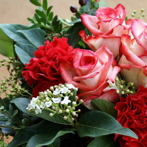 Hd-171054-ascw171054