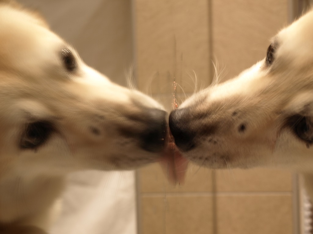 [028%255B4%255D.jpg]
