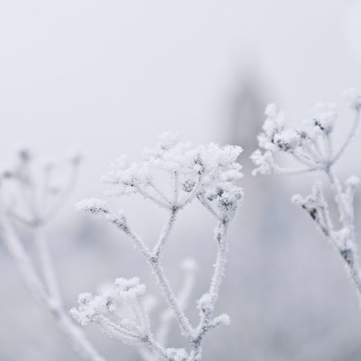 Hd-159931-ascw159931