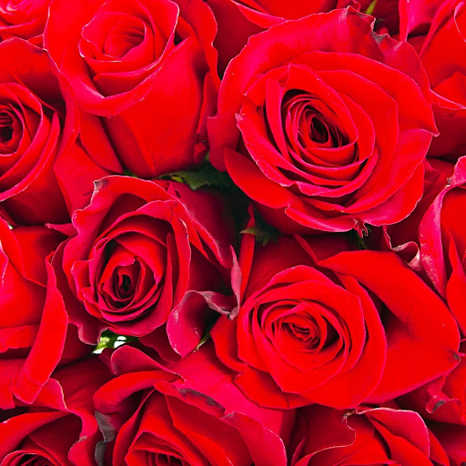 Hd-152384-ascw152384