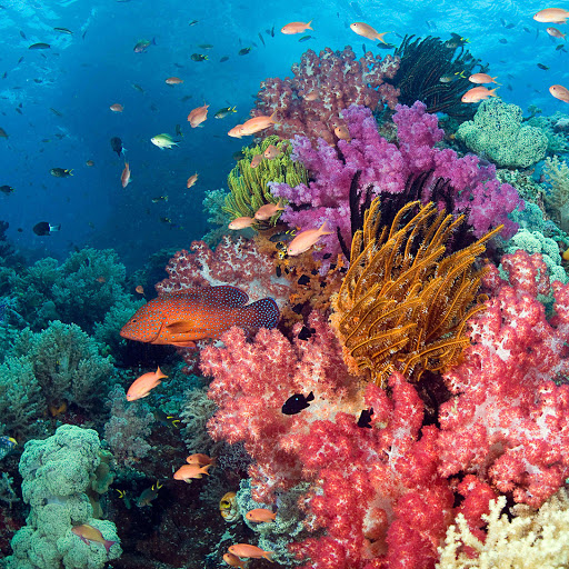 Hd-147008-ascw147008