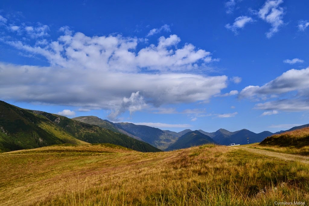 [DSC_47462.jpg]