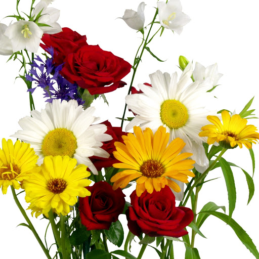 Hd-148768-ascw148768