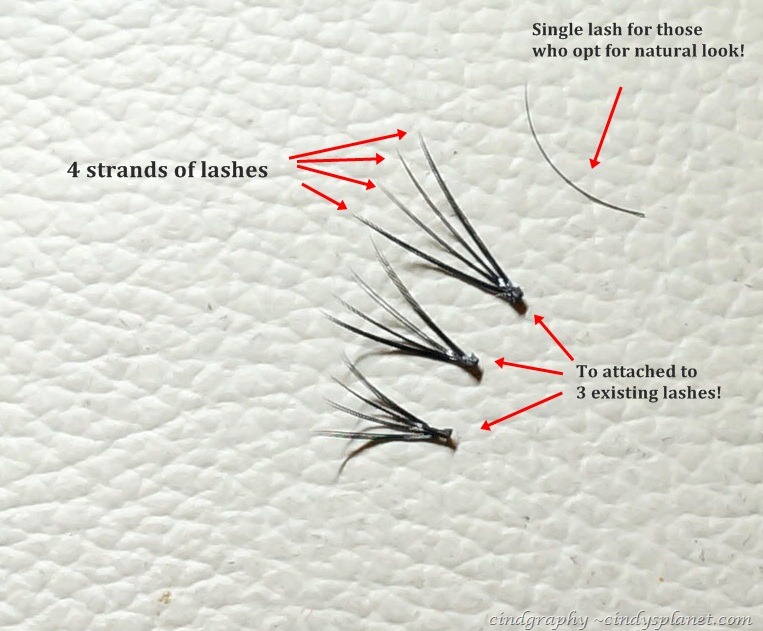 [Pink-Passion-Eyelash-Extension163.jpg.webp]
