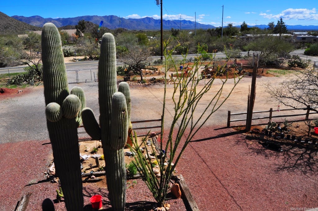 [DSC_0006%255B3%255D.jpg]