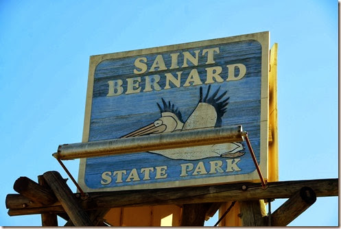 Saint Bernard Sign