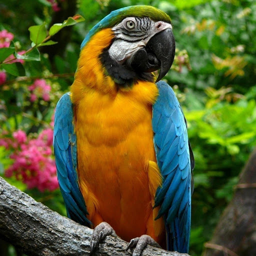 Hd-178218-ascw178218