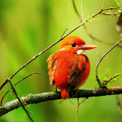 Hd-162861-ascw162861