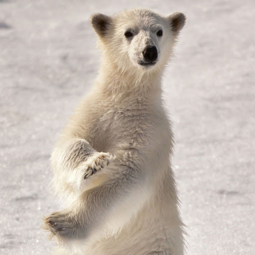 Hd-169471-ascw169471