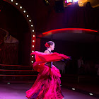 IMG_7270.jpg
